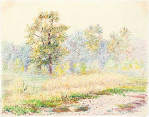 Козулина Татьяна Сергеевна. Прежняя Ново-спортивная улица. Одинцово